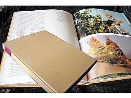 Das große Buch vom deutschen Wein - Friedrich A. Cornelssen