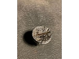 Militaria Frankreich WW1 Nuss Lebel oder Berthier