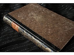 Jürg Jenatsch - Conrad Ferdinand Meyer und seine Bündner Geschichte aus dem Dreißigjähriger Krieg