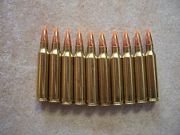 Dekomunition .223, 10 Stück,Nosler