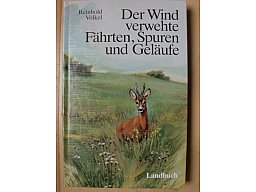 DER WIND VERWEHTE FÄHRTEN, SPUREN UND GELÄUFE