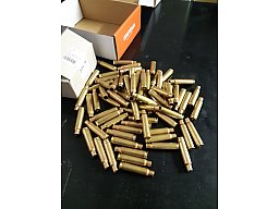 Hülsen 7,5x55, Ruag GP11, 74 Stück