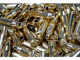 50 Stück NEUE RWS Hülsen 5,6x57 5.6 x 57 5,6mm RUAG Wiederladehülsen 5.6x57 50er Tüte > wie 2412705