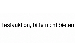Testauktion102