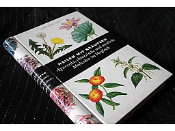 HEILEN MIT KRÄUTERN - Ayurveda chinesische und westliche Methoden im Vergleich Ody Penelope