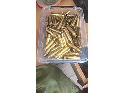.308 Hülsen, gereinigt und entzündert