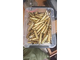 100x .308 Hülsen, gereinigt und entzündert