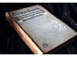 Der letzte Hansbur - Ein Bauernroman aus der Lüneburger Heide Hermann Löns Altes Original aus 1917