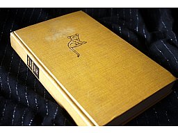 Mit Löwen auf du - Eric F. V. Wells Buch aus 1935