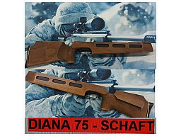 DIANA 75 MATCH Luftgewehr __ SCHAFT __ LG75 Konvolut __ Schrauben + Abzugsbügel + Schaftkappe = TOP