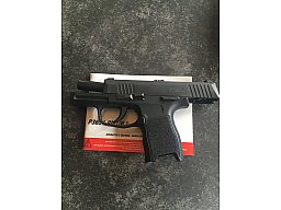 Sig P 365 Top