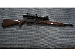 Remington Nylon 66