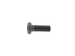 004982 AA, ANSCHÜTZ, Zylinderschraube Schraube DIN 6912 - M5 x 20 - 8.8 Cheese head screw