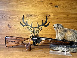 Blaser R8 Success .308Win - Holzklasse 4 - 50cm - M15x1 - Waffen Schlemmer Ingolstadt
