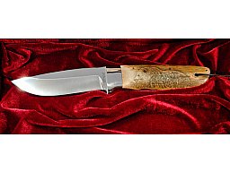 DNC "Athos" – RWL34 | Mammutelfenbein | Scrimshaw Gravur Bär | Exklusives Sammlermesser | Jagdmesser