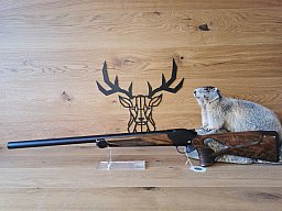 Blaser R8 Success Silence .308Win - 47cm - Integralschalldämpfer - Waffen Schlemmer Ingolstadt