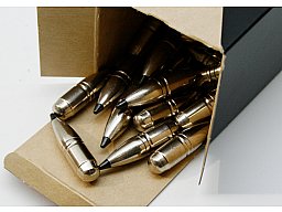 50 Stück NEUE RWS Geschosse - Speed Tip Professional .323 8MM S 180gr 11,7g | hohe Präzision! HMK Na