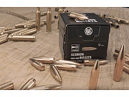 50 Stück NEUE RWS Geschosse SCORION Hohlspitz Match Geschosse HP .30 / .308 - 190grs 12,3g Hollow Po