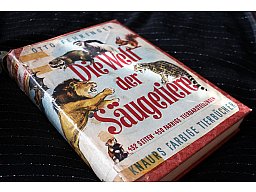 Die Welt der Säugetiere - Otto Fehringer