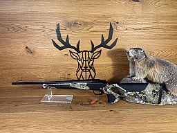 Blaser R8 Ultimate Huntec .308Win - 52cm - M15x1 - Waffen Schlemmer Ingolstadt