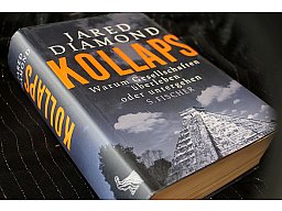 Kollaps - Warum Gesellschaften überleben oder untergehen Jared Diamond