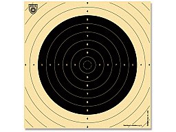 250x Einsteckspiegel BDS Scheibe Nr. 1 Z1 255x260 Matchsportgewehr Selbstlader Unterhebler Visierung