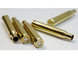 50 Stück NEUE RWS Hülsen 5,6x50 MAG 5,6 x 50 Magnum 5,6x50M NEU gezündert mit RWS 4033 Small Rifle Z
