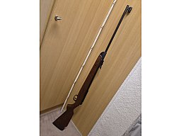 Luftgewehr Diana 350 TOP in Nürnberg Abholen