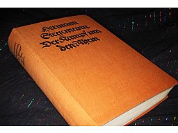 Der Kampf um den Rhein - Hermann Stegemann Buch 1921