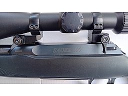 Sauer 100 Kal. .308Win.
