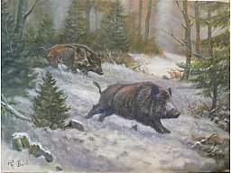 Jagdgemälde "SAUEN IM WINTERWALD" - Jagdmaler - Thomas Bold -