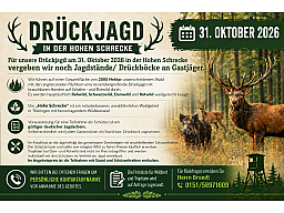 Drückjagd am 31. Oktober 2026 in der Hohen Schrecke in Thüringern