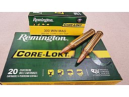.300WinMag/180grs Core-Lokt PSP Remington 20 stk. # SSZ Berka