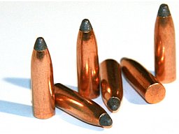 100 Stück S&B | Sellier&Bellot Geschosse #2915 | .228 / 5,6 mm - 70grs / 4,6 g -SP Teilmantel | Jagd