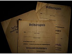 Urkunden/Dokumente Lot, kein UV, WK1 WK2, Eisernes Kreuz