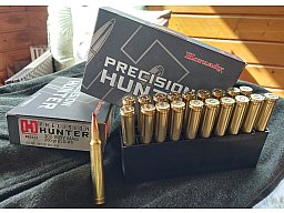 300 Weatherby Magnum