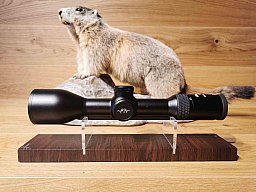 Zielfernrohr Blaser B2 2,5-15x56 iC S - Waffen Schlemmer Ingolstadt