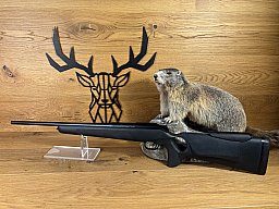 Blaser R93 Prof. Success .30-06- 52cm - M14x1 - verst. Schaftrücken - Waffen Schlemmer