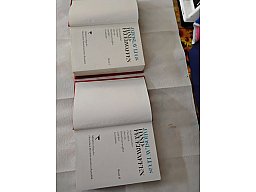 Lugs Handfeuerwaffen 2 Bände