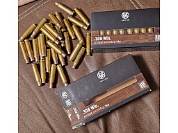 Hülsen 308 Win RWS 51 Stück