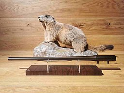 Blaser R8 Wechsellauf .308Win - 52cm - M15x1 - Waffen Schlemmer Ingolstadt