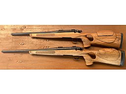 Steel Action SteelAction HM 8x57IS mit verstellbarem Holz Lochschaft