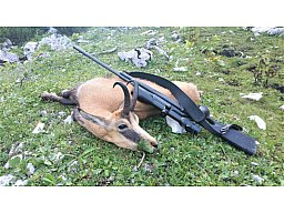 Murmel und Gamsjagd Tirol / Slowenien 2027