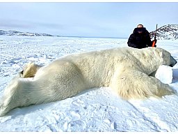 Eisbär-Jagd mit Inuits in Nanuvut/Kanada