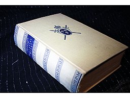 Verlorene Krone - Roman aus dem Jahre 1866 Christiane Thyrow