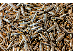 1000 Stück Geschosse .224 Vollmantelgeschosse 55 Grain