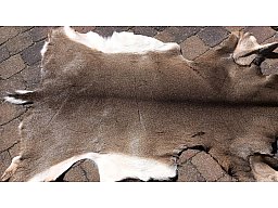 1 x Weisswedel (Decke) zu verkaufen (neu)