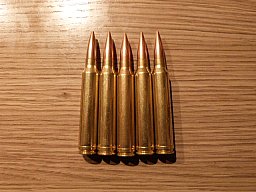 Dekomunition .300 Win Mag , 5 Stück , Messinghülse FMJ