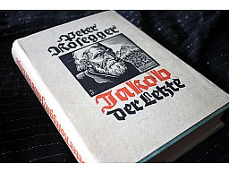 Jakob der Letzte - Eine Waldbauerngeschichte Peter Rosegger