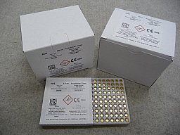 1.000 x SR Zündhütchen von GECO bzw. RWS, Art.-Nr.: 4157